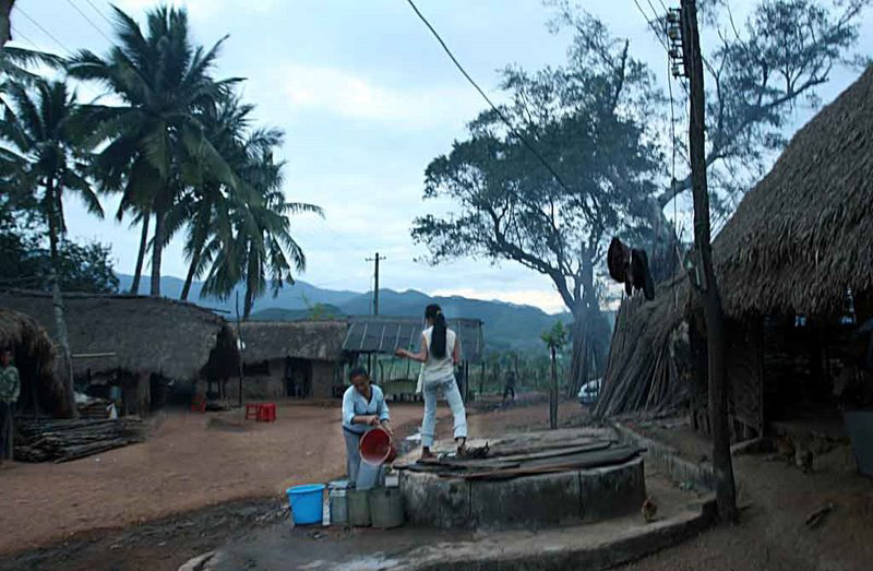 黎族的“山蘭節(jié)”
