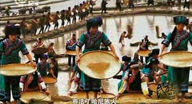 【視頻】哈尼族紀(jì)實