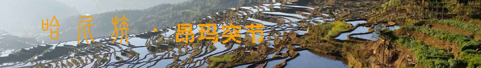 頭標(biāo).jpg